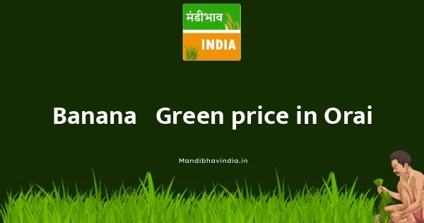 Banana - Green price